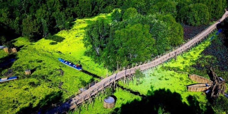 Cầu tre vạn bước đi xuyên rừng chiều dài 2km